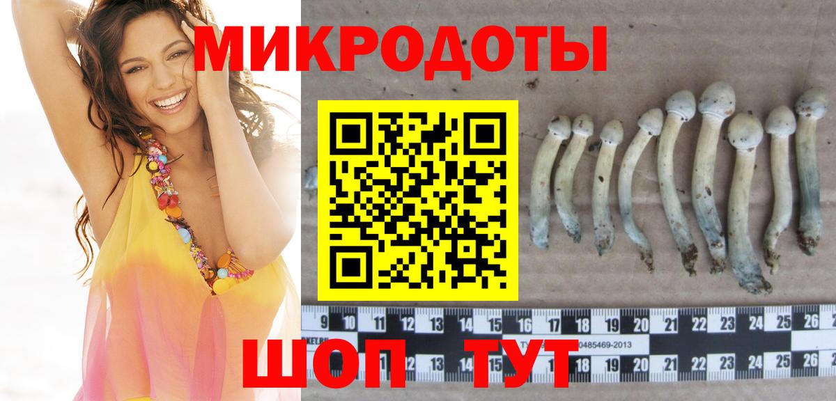 Галлюциногенные грибы прущие грибы Сафоново